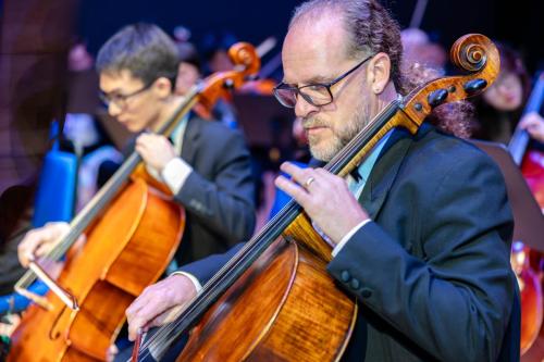 Men playing their Violin on Orchestra Concert